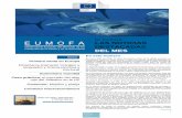 Nº 07/2016 LAS NOTICIAS DESTACADAS DEL MES - … · Caso práctico: el mercado del atún rojo del Atlántico en la UE Consumo: ... mayor a la de hace dos años. España, Francia