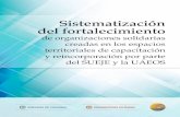 Sistematización del fortalecimiento de organizaciones ... · solidarias creadas en los espacios territoriales de capacitación y reincorporación por parte del SUEJE y la UAEOS.