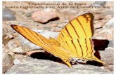 Claudio Crespo Ramírez. Autor [920] versión 1 1/2018fieldguides.fieldmuseum.org/.../rapid-color-guides-pdfs/920_ecuador... · Sin duda estos animales son las mariposas ... Hesperiidae