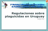 Regulaciones sobre plaguicidas en Uruguay - LAPRW … Dol.pdf · La exigencia de tratamiento antibrotante (Decreto Nº 929/88) no será de aplicación para papa (Solanum tuberosum)