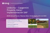 Ledesma Capgemini Proyecto Meta! Implementación SAP³n-Proyecto-META.pdf · No Conformidad hasta la toma de la Acción Pedido a la Cobranza Presupuesto a la Exposición Financiera