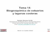 Tema 14: Biogeoquímica de estuarios y lagunas costeras · Tema 14: Biogeoquímica de estuarios ... En zonas áridas y semiáridas hay lagunas costeras que reciben pocos ... 15 20