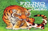 FELINO GRANDE, Gatito - Arbordale Publishing el libro (en inglés y en español): ¿Qué son los gatos y cómo están relacionados? Gatos del Mundo Los sentidos y las adaptaciones
