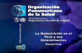 La Malnutrición en el Perú y sus Determinantes · (talla baja) ? • Es un marcador de fácil medición y que refleja sensiblemente los desequilibrios de las determinantes sociales