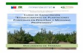 Documento de Trabajoasisma.cl/adef/wp-content/uploads/2016/02/Manual-de-establecimien... · plantaciones forestales en pequeñas y medianas ... 4.1.3 Cortafuegos