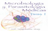 Microbiología y Parasitología Médicassc33fe47babe972a1.jimcontent.com/download/version/1286303039/mo… · Por estas razones, ... Haemophilus y Gardnerella vaginalis Capítulo
