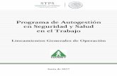 Programa de Autogestión en Seguridad y Salud en el …qaautogestion.stps.gob.mx/Proyecto/Content/doctos/Lineamientos... · secretarÍa del trabajo y previsiÓn social programa de