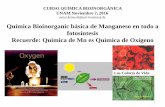Química Bioinorganic básica de Manganeso en todo …depa.fquim.unam.mx/amyd/archivero/PK_LECTURE_Lunes... · Química Bioinorganic básica de Manganeso en todo a fotosíntesis Recuerde: