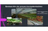 Evaluación de proyectos sustentables - sgpwe.izt.uam.mxsgpwe.izt.uam.mx/files/users/uami/ifig/Sustentabilidad_Hidroponia... · Mayor limpieza e higiene en el manejo del cultivo,