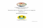 Reserva de la Biosfera Sierra La Laguna ANEXO 1 …defiendelasierra.org/wp-content/uploads/2015/07/Anexo-de-Opinion... · reino fungi (Hongo repisa) Ganoderma aplanatum, ... Los cuales