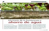 Eficiencia de la fertilización y ahorro de agua - Fertiberia · y se aplica directamente en el agua de riego, de forma que donde llega el agua,llega el fer-tilizante.Por tanto cualquier