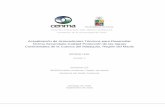 Actualización de Antecedentes Técnicos para …planesynormas.mma.gob.cl/archivos/2016/proyectos/INFORME_FINAL... · propuesta de NSCA de la cuenda del rio Mataquito ... Protección