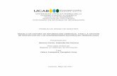 UNIVERSIDAD CATÓLICA ANDRÉS BELLO …biblioteca2.ucab.edu.ve/anexos/biblioteca/marc/texto/AAT4708.pdf · sistema de información gerencial, identificar las fases del modelo de sistema