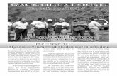 GACETILLA LOCAL - Revista Comarcal de la Montaña … · gías avanzan que es una barbaridad y enmascaran la realidad en la que nos el ... a través de una cone- financiada en muy