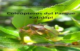 Coleópteros del Parque Katalapiparquekatalapi.cl/jclic/Guia Aves/2_Guia__de_Campo_Coleopteros_del... · la identificación y descripción de las especies y a Christian Muñoz, quien