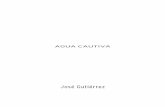 AGUA CAUTIVA - fundacionaguagranada.esfundacionaguagranada.es/fileadmin/user_upload/publicaciones/ciclo... · El pez que del agua sale aun de alivio no carece Juan de la Cruz ...