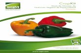 Guía de Manejo de Nutrición Vegetal de Especialidad … · En el Capítulo 6 se analizan los diferentes fertilizantes de especialidad que tienen a mano los productores para conformar
