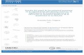 'Estudio del papel de las palmitoil-proteínas en la ...digital.bl.fcen.uba.ar/download/tesis/tesis_n4919_GonzalezPolo.pdf · Este documento forma parte de la colección de tesis