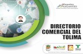 DIRECTORIO COMERCIAL DEL TOLIMA - Fenalco .directorio comercial del tolima sector artes, cultura,