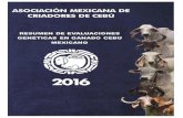 MEXICANO GENÉTICAS EN GANADO CEBÚ RESUMEN DE ... … · ii Resumen de Evaluaciones Genéticas de las Razas Cebú en México ----- Asociación Mexicana de Criadores de Cebú Publicado