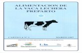 infolactea.cominfolactea.com/wp-content/uploads/2017/03/Alimentacion-de-la-vaca... · Una alimentación inadecuada de la vaca seca tiene efectos negativos sobre el animal que pueden