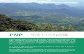 PNP Prácticas a nivel paisaje - gob.mx · PNP Prácticas a nivel paisaje rodales en el paisaje. La biodiversidad, no importa cómo sea medida, casi nunca se res-tringe a un rodal.