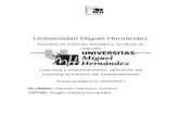 Universidad Miguel Hernández - dspace.umh.esdspace.umh.es/bitstream/11000/3381/1/TFG Sánchez... · La metodología que se ha utilizado para la realización de este trabajo fin de