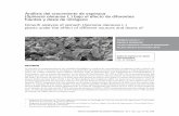 Análisis del crecimiento de espinaca spinacia oleracea …soccolhort.com/revista/pdf/magazin/vol3/vol.3. no.2/spinach effect... · del suelo. El nitrato de amonio a la dosis más