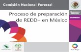 Proceso de preparación de REDD+ en México - gob.mx · •Estrategia de comunicación, •Consulta de la Estrategia Nacional ... mayor solidez al proceso. • La definición de acciones