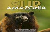 PITCTEC - Corpoamazonia · de las ideas y opiniones emitidas en sus artículos. CORPOAMAZONIA no se hace responsable por ... en especial del Sur de la Amazonia Colombiana. ... versión