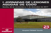 I JORNADAS DE LESIONES AGUDAS DE CODO - …torrespardo.com/wp-content/uploads/2017/09/programa_fremap_curso... · 14.00 Clausura del curso. Sevilla, 30 de noviembre y 1 de diciembre