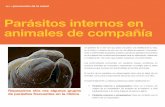 Parásitos internos en animales de compañía - Axonaxonveterinaria.net/.../4/4_Parasitos_internos.pdf · 2014-01-09 · Encargar la limpieza de los excremen- ... vivir en el intestino