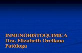 INMUNOHISTOQUIMICA Dra. Elizabeth Orellana … de la inmunohistoquimica.pdf · SelecciSeleccióón correcta de paneles de anticuerposn correcta de paneles de anticuerpos 4. Adecuado