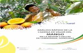 ANÁLISIS RÁPIDO DE LA CADENA DE VALOR DEL …agronegocioshonduras.org/wp-content/uploads/2015/06/Cadena-Mango... · Análisis FODA 12 2. Identificación de problemas 14. C. Demanda