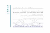 Grupos de automorfismos de superficies de Riemann …e-spacio.uned.es/fez/eserv/bibliuned:masterMatavanz-Jrodriguez/... · tesis dos años antes y su investigación versaba sobre