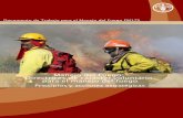 Manejo del Fuego: Directrices de carácter voluntario …queimadas.cptec.inpe.br/.../2007_FAO_Directrices_ManejodelFuego.pdf · BIBLIOGRAFÍA ... una evaluación mundial del manejo