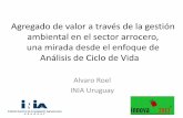 Agregado de valor a través de la gestión ambiental en … Alvaro Roel.pdf · Agregado de valor a través de la gestión ambiental en el sector arrocero, una mirada desde el enfoque