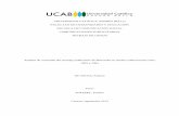 UNIVERSIDAD CATÓLICA ANDRÉS BELLO FACULTAD DE …biblioteca2.ucab.edu.ve/anexos/biblioteca/marc/texto/AAS5781.pdf · de la industria publicitaria y del contexto político, económico