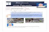 Contaminación - jovenes.accioncatolica.org.arjovenes.accioncatolica.org.ar/.../2017/07/Copia-de-Contaminacion.pdf · contribuyen a la acidificación del suelo y del agua, a los fertilizantes,
