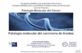 Presentación de PowerPoint - Inicio · PDF fileVariantes histopatológicas de carcinoma papilar Microcarcinoma Variante folicular - encapsulada, ... Variante esclerosante difusa Variante