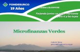 Microfinanzas Verdes - fomin-events.com · Manual de Especificaciones Técnicas y Recomendaciones para el Buen Uso Afiche de Buen Uso y Mantenimiento ... Secadores Solares para hierbas