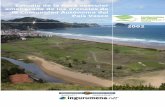 Estudio de la flora vascular amenazada de los arenales … · 5 Áreas de Interés Especial _____ 95 6 Propuesta de actuaciones para la gestión de las especies amenazadas de los