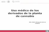 Presentación de PowerPoint - OMEXTADomextad.salud.gob.mx/contenidos/marihuana/PONENCIA_SENADO_CA… · Uso médico de los derivados de la planta ... producidos de forma natural por