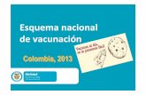 Esquema nacional de vacunación - …calisaludable.cali.gov.co/saludPublica/2013_Publicaciones/Esquema... · La respuesta del sistema inmune es intensa y de larga duración, ... Presentación: