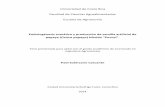 Embriogénesis somática y producción de semilla ...repositorio.sibdi.ucr.ac.cr:8080/jspui/bitstream/123456789/2509/1/... · Embriogénesis somática y producción de semilla artificial