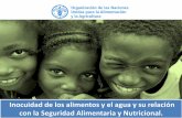 Inocuidad de los alimentos y el agua y su relación con la ...ilsinorandino.org/wp-content/uploads/sites/16/2016/12/Inocuidad... · nutrición adecuada, la salud y la dignidad de