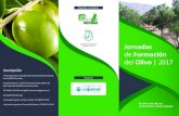 jornadas de formacion del olivo - cabildofuer.es · Ÿ Enfermedades que afectan al culvo del olivo: Desarrollo de las plagas, Control químico, Control biológico