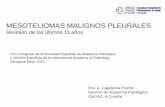 MESOTELIOMAS MALIGNOS PLEURALES - … · MESOTELIOMAS MALIGNOS PLEURALES Revisión de los últimos 11 años XXV Congreso de la Sociedad Española de Anatomía Patológica y División
