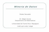 Mineria de Datosacademic.uprm.edu/eacuna/netsacu.pdf · 2011-08-09 · representaciones de modelos matemáticos donde unidades ... Estimación de funciones de densidades. ... asume