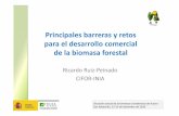Ricardo Ruiz‐PePeiinnaaddoo CIFCIFOORR INIAINIA · Situación actual de la biomasa y tendencias de futuro San Sebastián, 22‐23 de diciembre de 2010. Bosques y bioenergía INTRODUCCIÓN